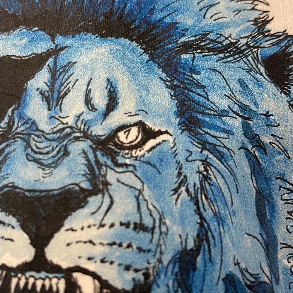House of Hutch‎ Hutchinson Detroit Lions White Hoodie M - Picture 3 of 5